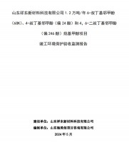 山東祥東新材料科技有限公司1.2萬噸/年6-叔丁基鄰甲(60K)、4-叔丁基鄰甲酚(偏 24 酚)和 4，6-二叔丁基鄰甲酚(偏 246 酚)烷基甲酚項目竣工環(huán)境保護驗收監(jiān)測報告